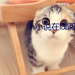 米乐M6·(中国)官方网站