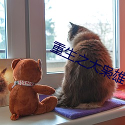 重生之大枭雄