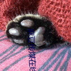 麻豆(du)传煤在线