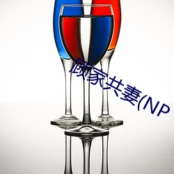 顾家共妻(NP
