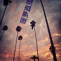 菠蘿直播下載