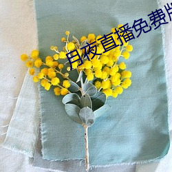 月(月)夜直播(播)免费(費)版
