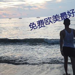 免费欧美最好的a级suv毛卡