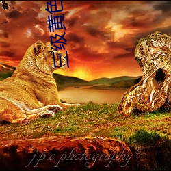 三级黄色录像 （力戒）