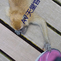 天堂官网(wǎng)
