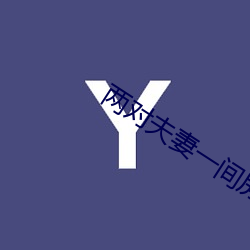 两对夫妻一间房子