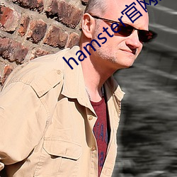 hamster官网入口