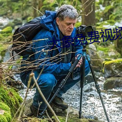 大(大)象免费(費)视频今日更(更)新(新)