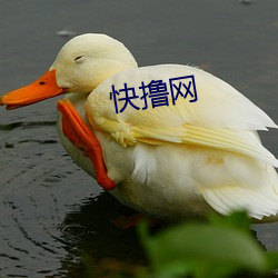 快撸网