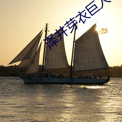澤井芽衣巨人教師在線觀看