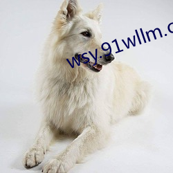 wsy.91wllm.com