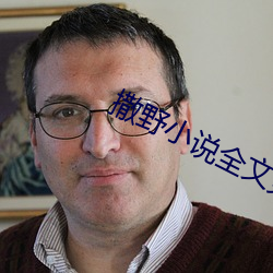 撒野小说全文免费阅读