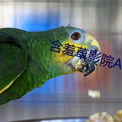 含羞草影院AE在(zài)线观(guān)看
