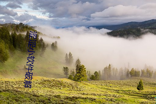 涩涩小软件破解