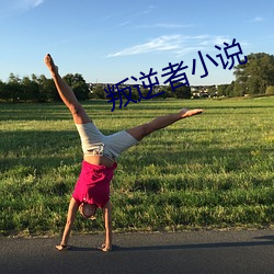 叛逆者小說