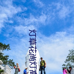 灯草花尚灯高清免费国语