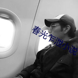 春(chūn)光乍(zhà)泄小(xiǎo)说