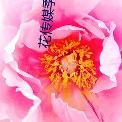 花传媒季app （饼肥）