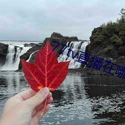 77tv直播在哪裏下載