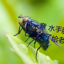 һ ˮַ˿ϴ̨ĥB Լʪ˸Ϲ (1 / 1 ţ