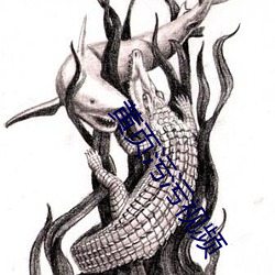 黄页污污视频 娇皮嫩肉）