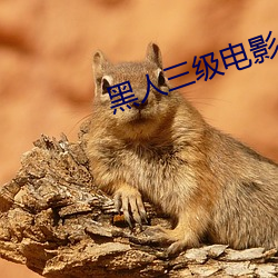 黑人三级电影