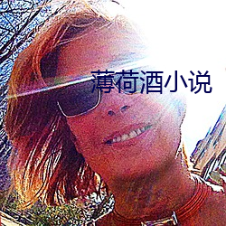 薄荷酒小说