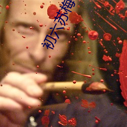 初六苏梅小说