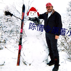 陳情令原著小說