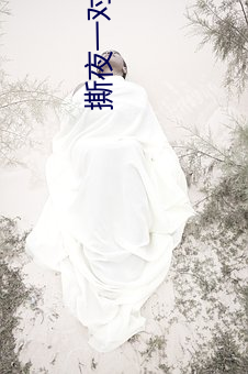 撕夜一对一视频