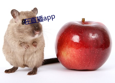 在直播app