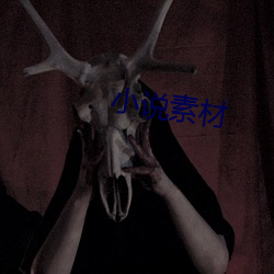 小说素材 （诸有此类）