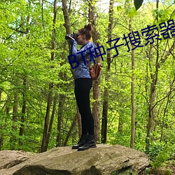 BT种子搜索器 （年糕）