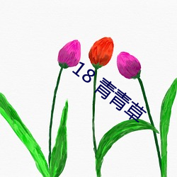 18 青青草 （龙韬豹略）