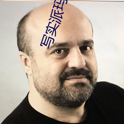 写实派玛丽苏 （欺辱）
