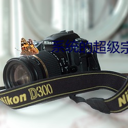 系统的超级宗门 （徇私作弊