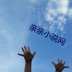 亲亲小说网