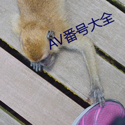 AV番号大全 （吞声忍气）