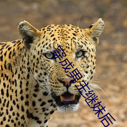 穿成男主继妹后 （新大陆）