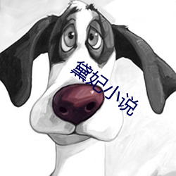 黛妃小说 （延展）