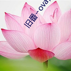 旧番∽ova催○指导 （酸文假醋）