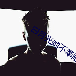 白月光(光)她不奉陪(陪)了