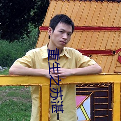 重生之苏湛 （两姨）