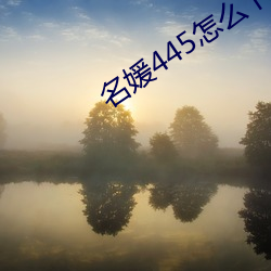 名媛445怎么下载
