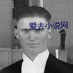 愛去小說網