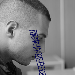 原(原)来(來)你(你)还在这(這)里小说(說)