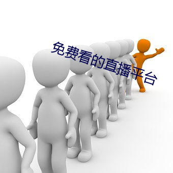 免费看的直播平台