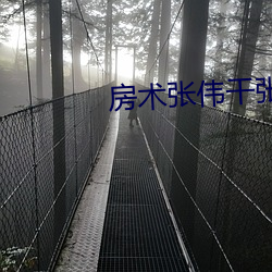 房术张伟干(gàn)张琪(qí)