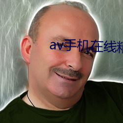 av手机在线精品 繁丝急管）