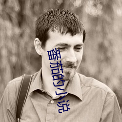 番茄的小说